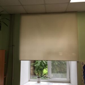 Рулонные шторы в класс 2